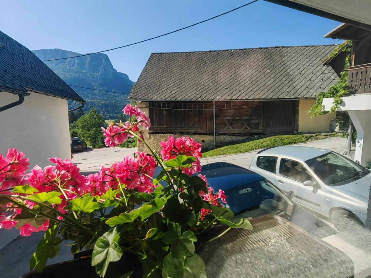 Apartma Bela Bohinjska Bela Bagian luar foto